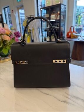 Delvaux Purse